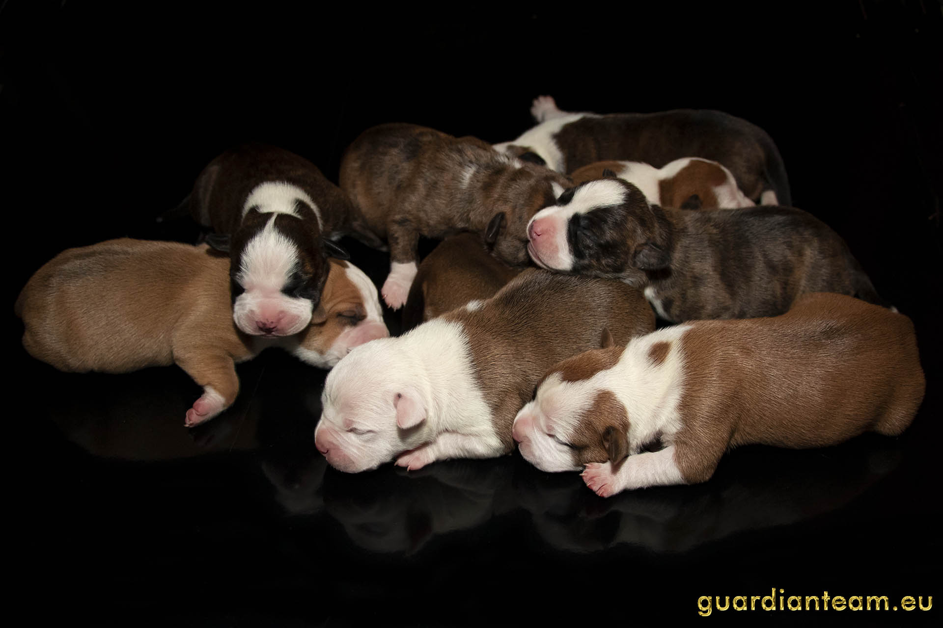 Galeria 2021.12.17 - 2021.12.24