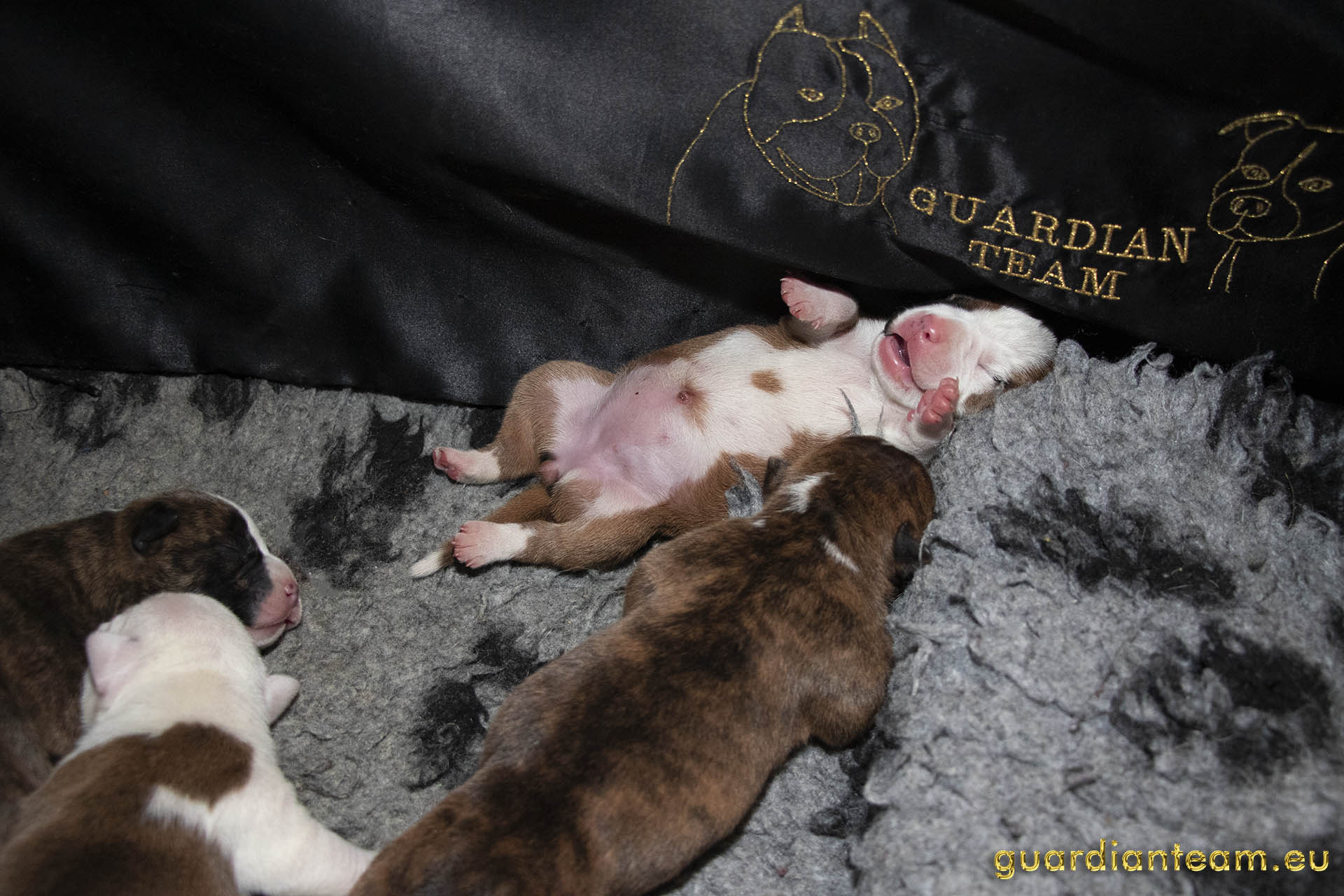 Galeria 2021.12.17 - 2021.12.24