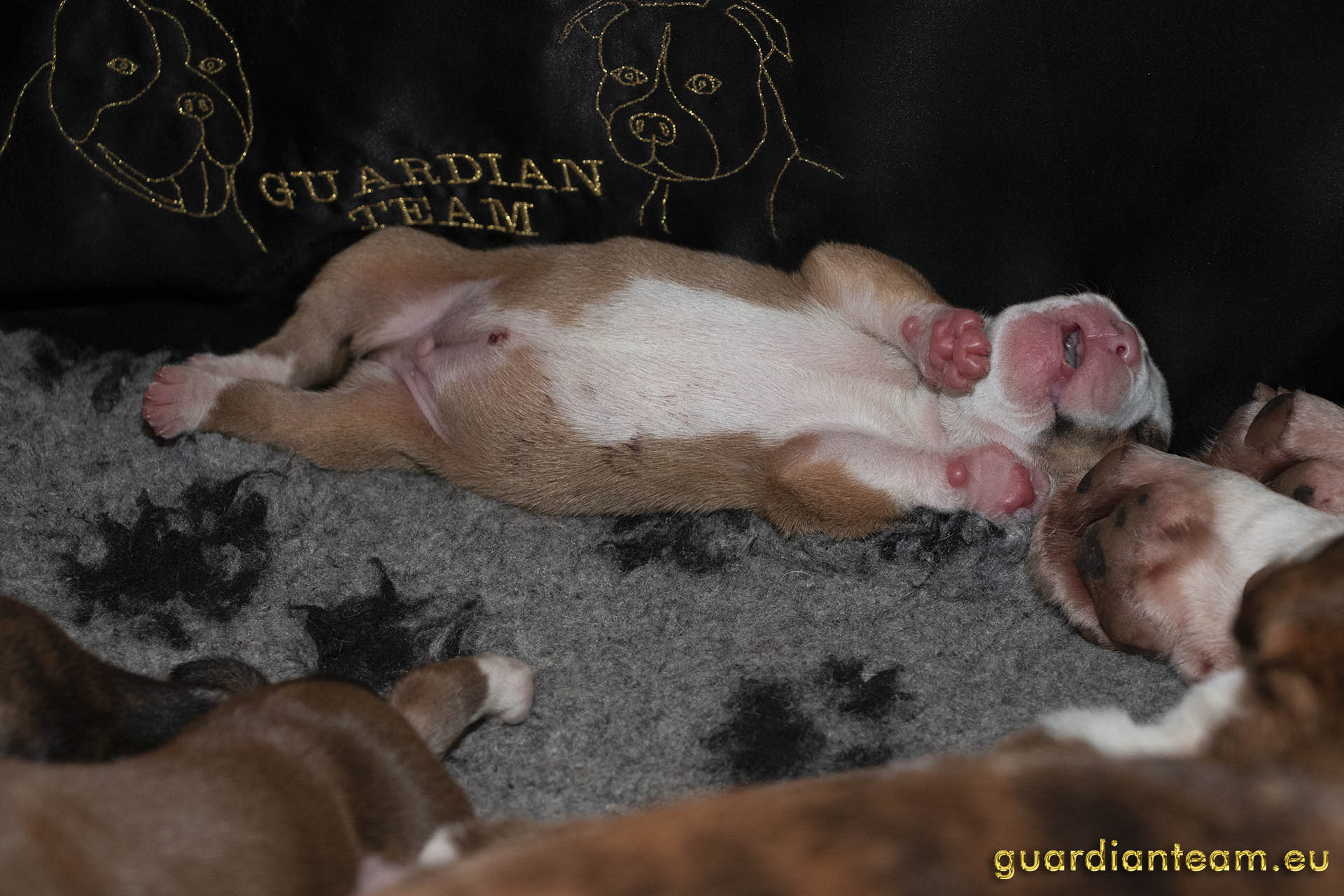 Galeria 2021.12.17 - 2021.12.24