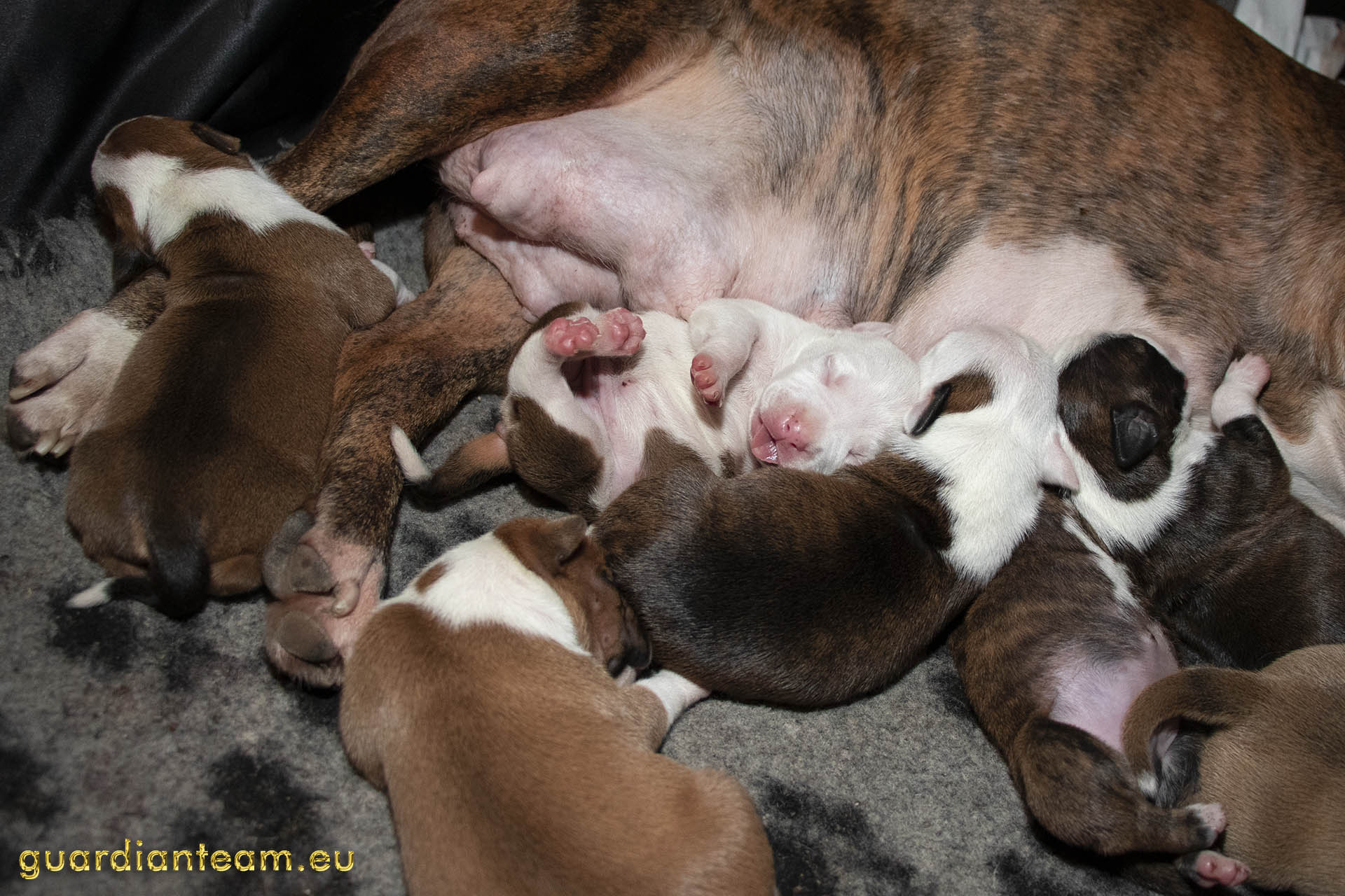 Galeria 2021.12.17 - 2021.12.24