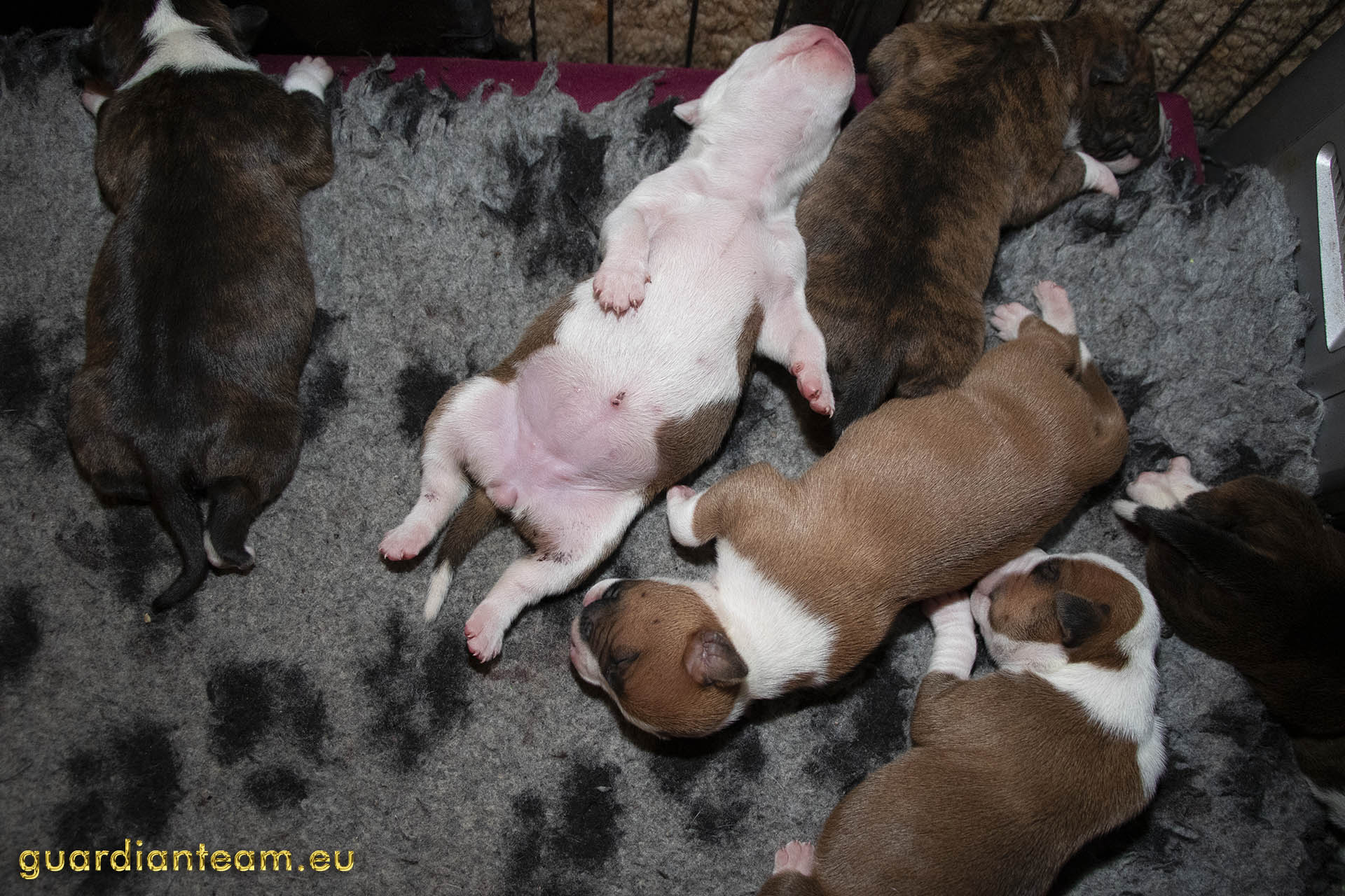 Galeria 2021.12.17 - 2021.12.24