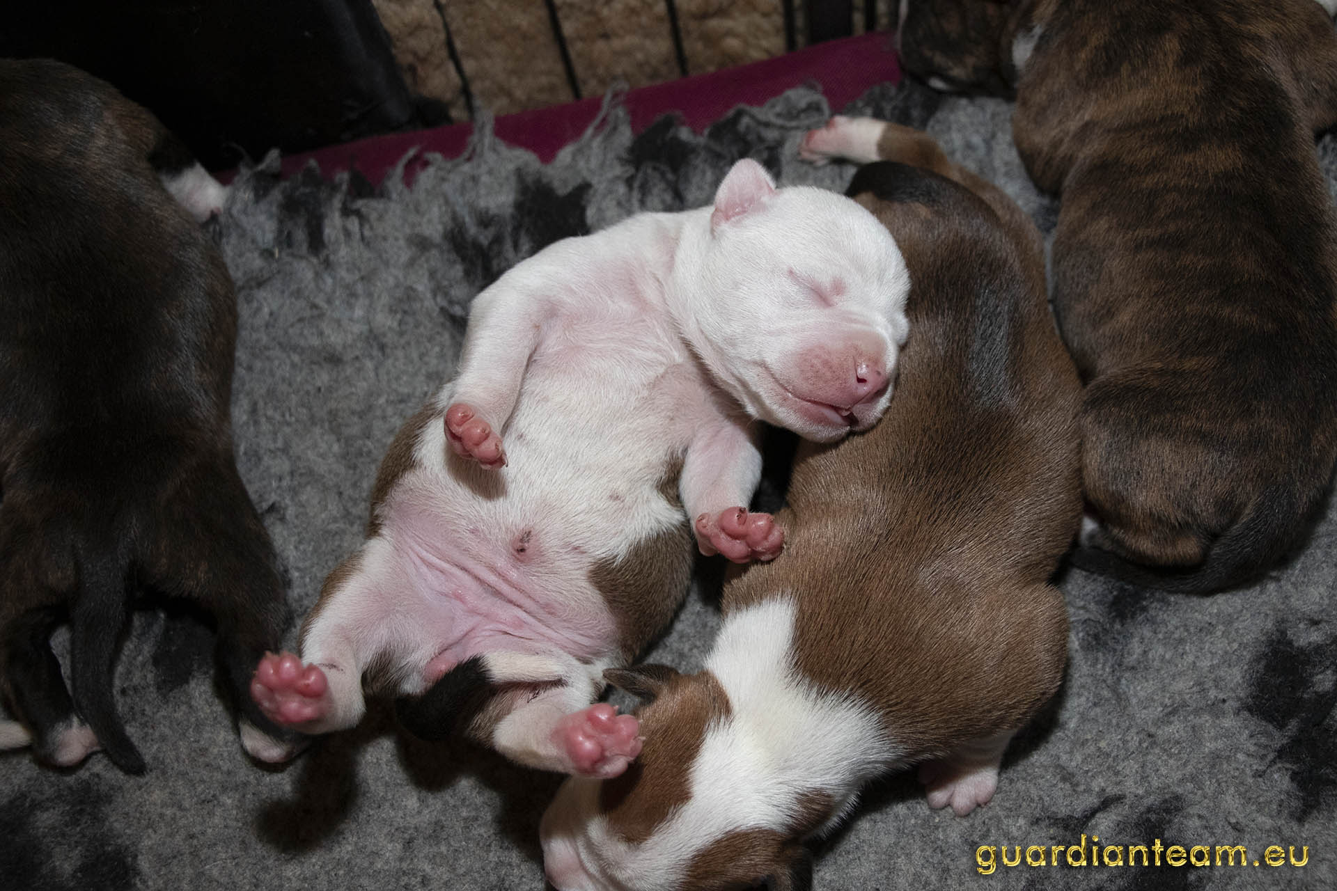 Galeria 2021.12.17 - 2021.12.24