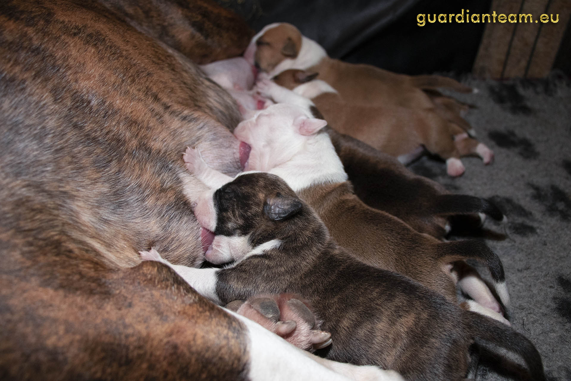 Galeria 2021.12.17 - 2021.12.24