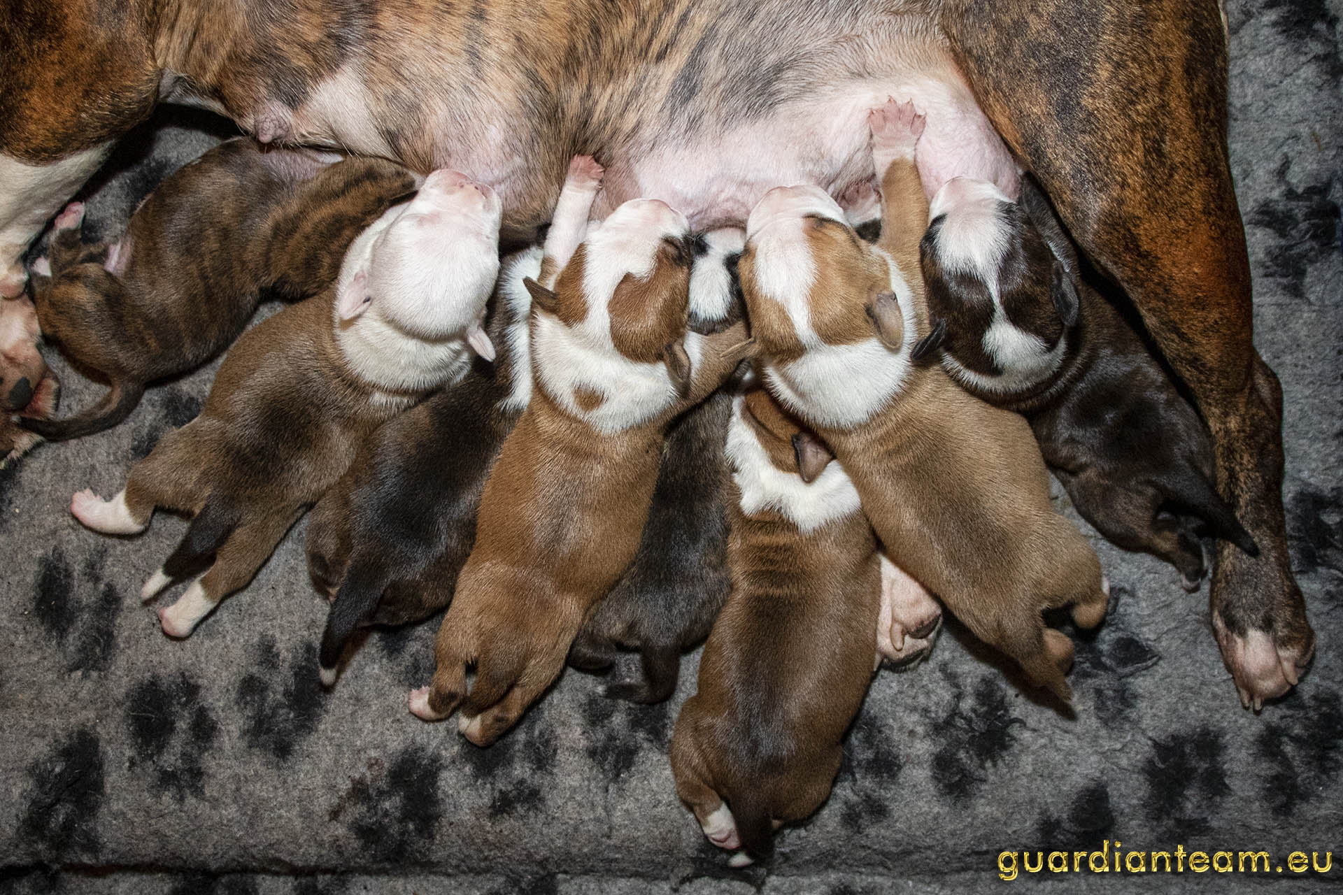 Galeria 2021.12.17 - 2021.12.24