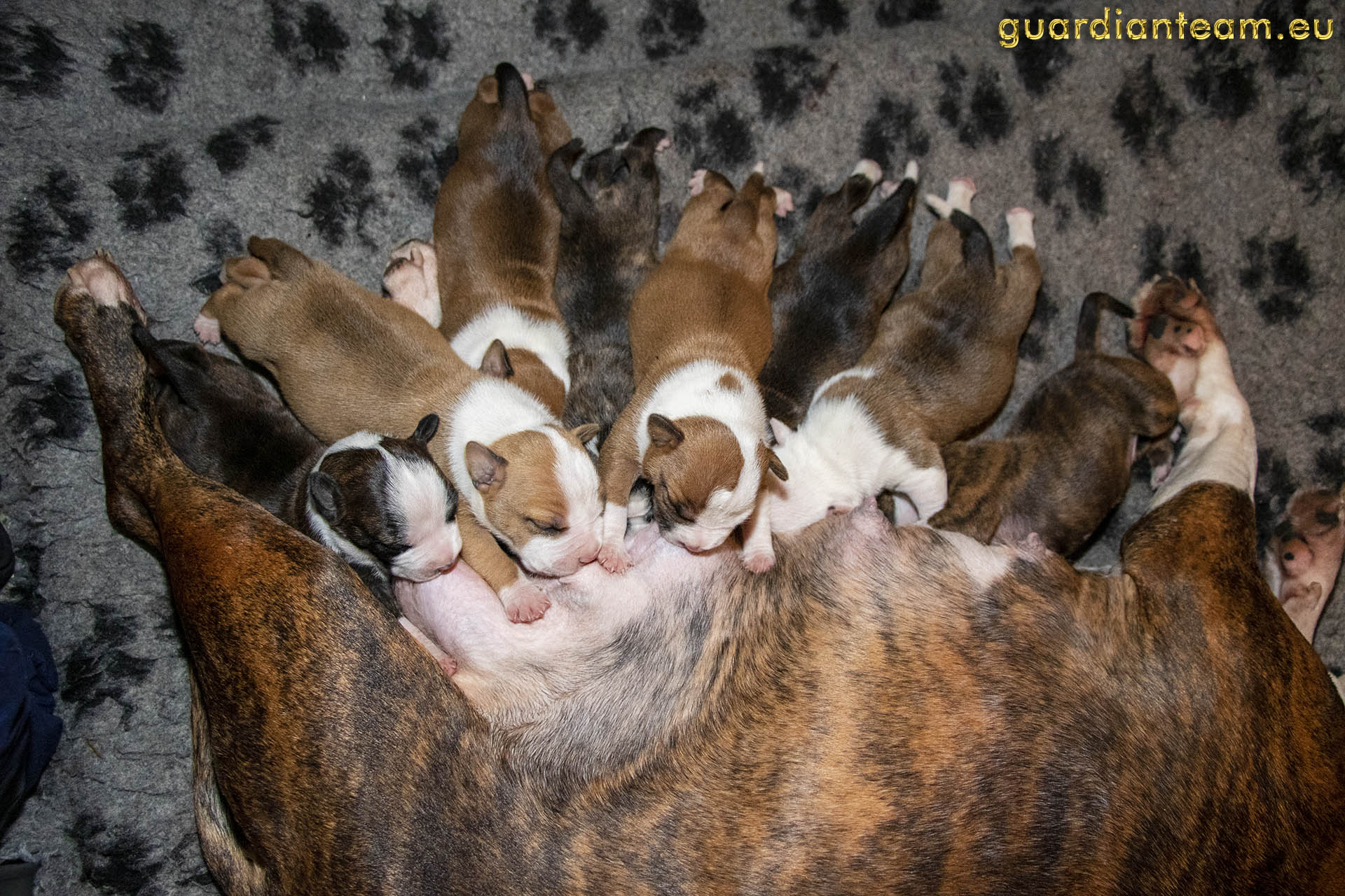 Galeria 2021.12.17 - 2021.12.24