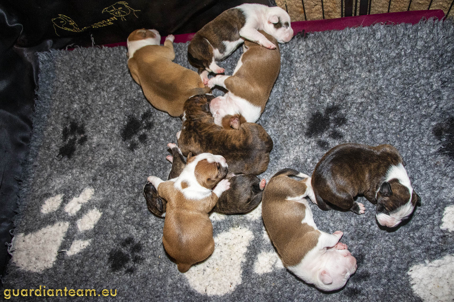 Galeria 2021.12.17 - 2021.12.24