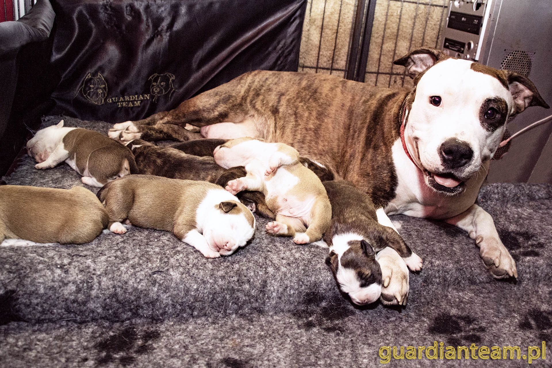 Galeria 2021.12.17 - 2021.12.24