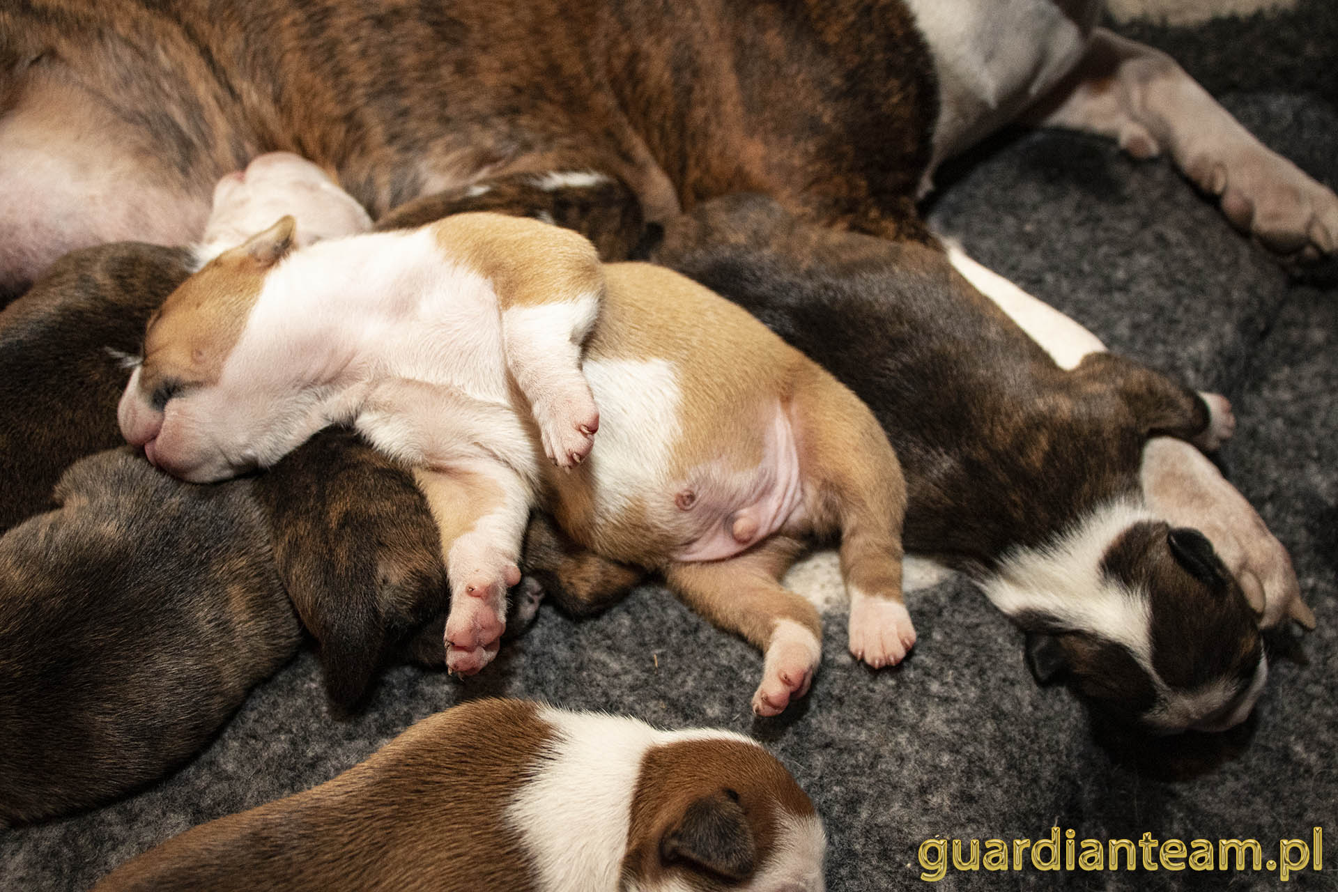 Galeria 2021.12.17 - 2021.12.24