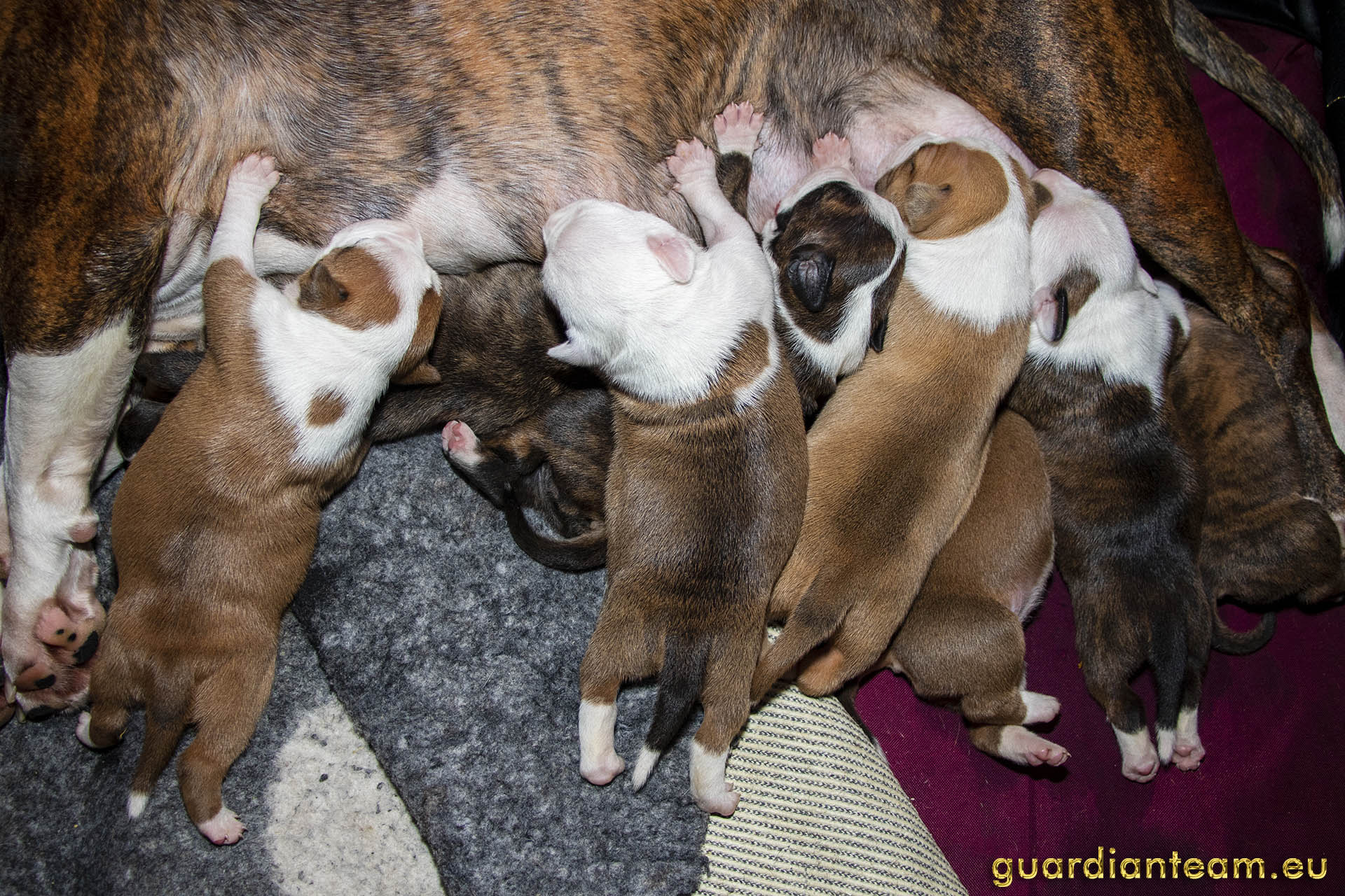 Galeria 2021.12.17 - 2021.12.24