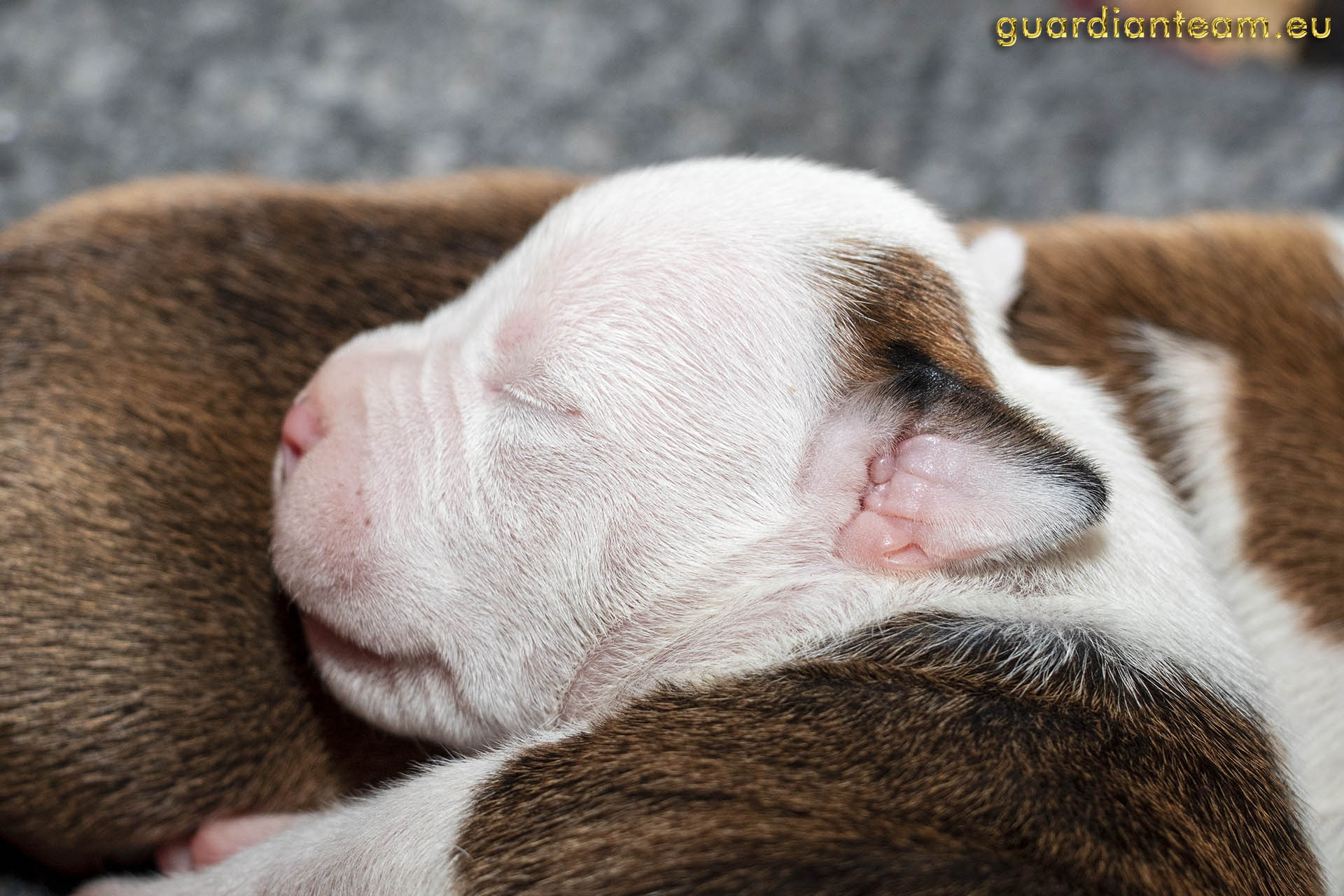 Galeria 2021.12.17 - 2021.12.24