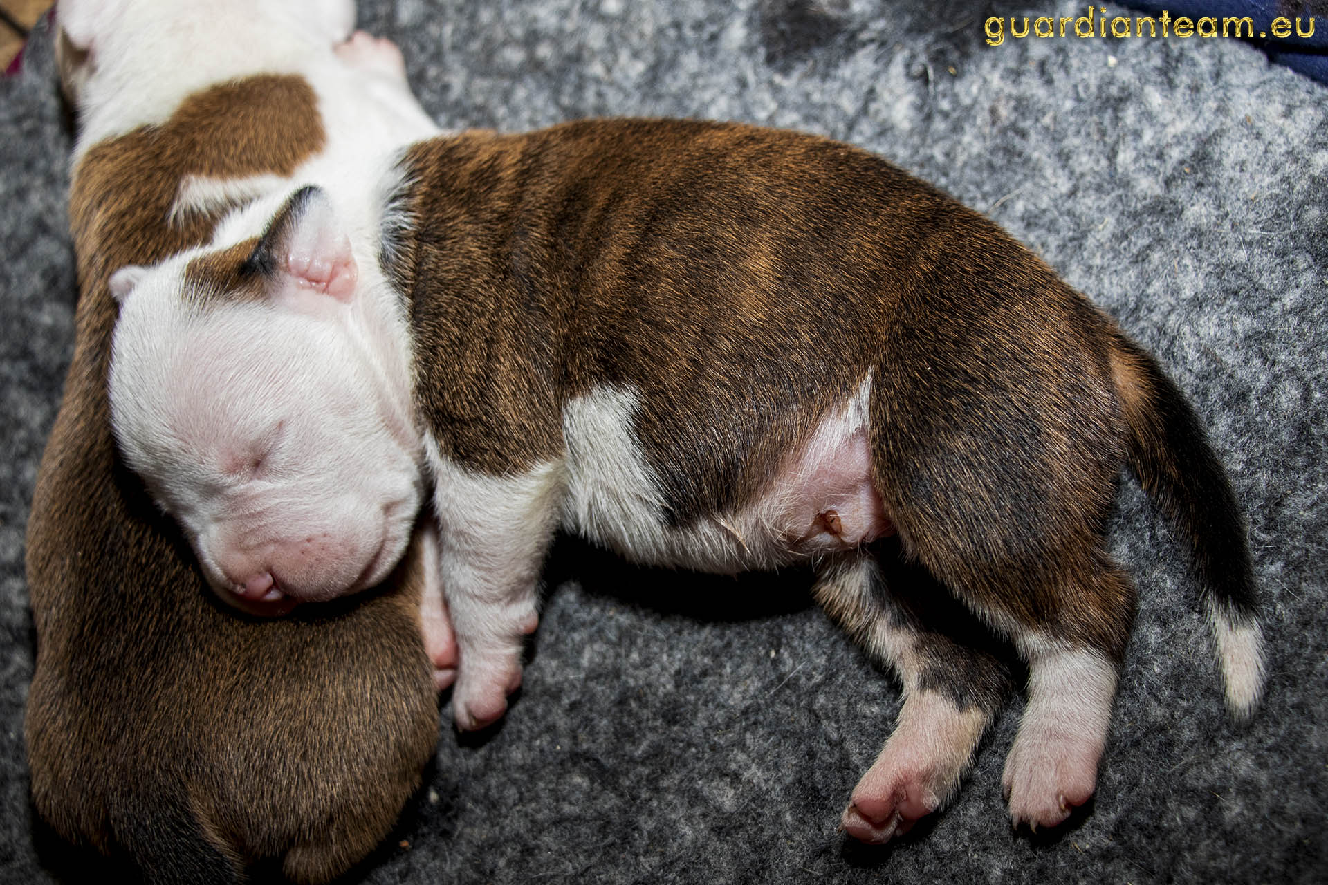 Galeria 2021.12.17 - 2021.12.24