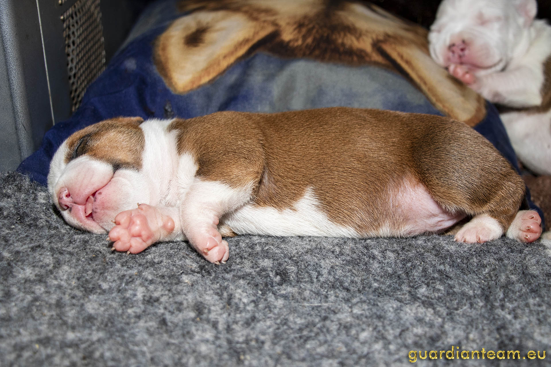 Galeria 2021.12.17 - 2021.12.24