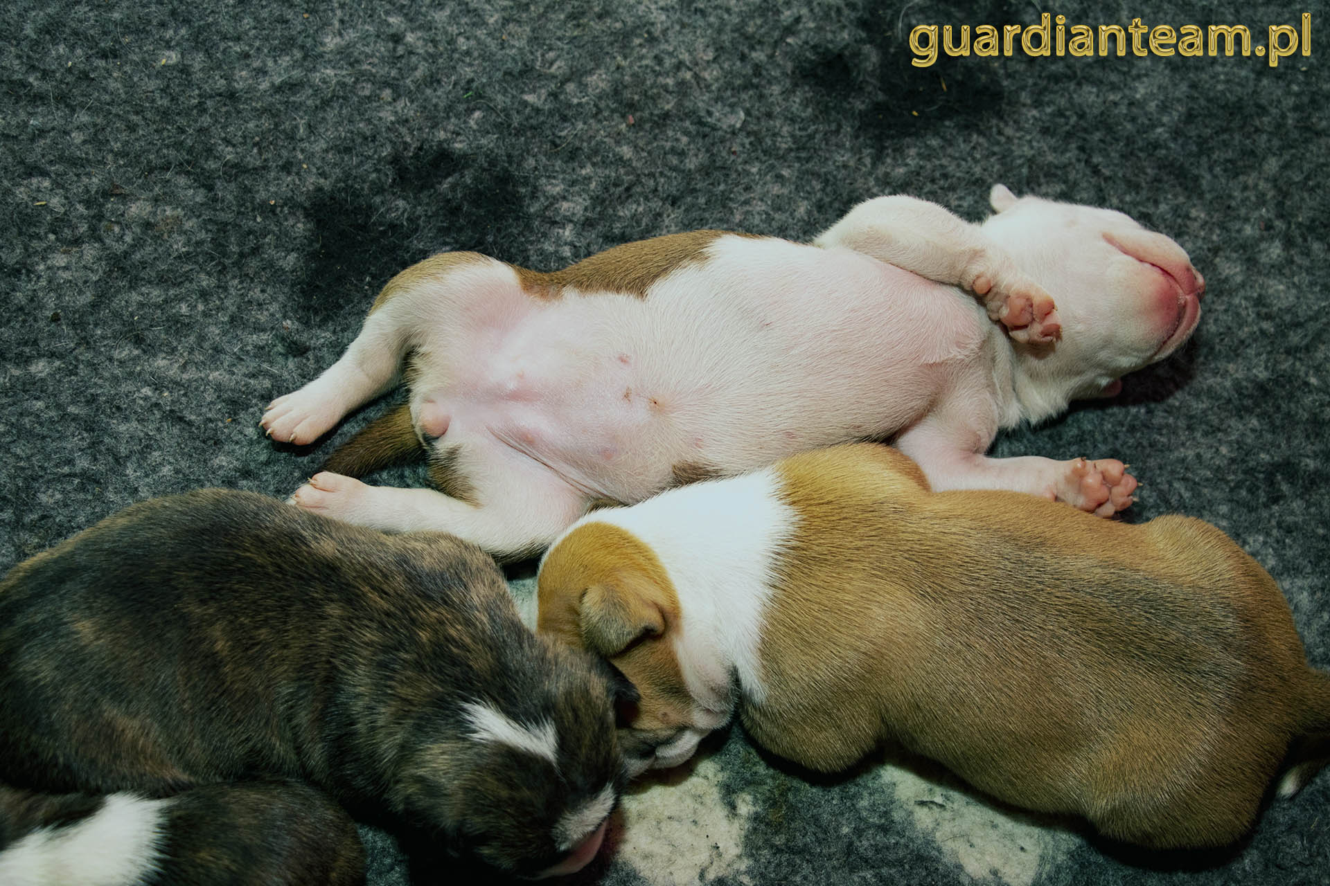 Galeria 2021.12.17 - 2021.12.24