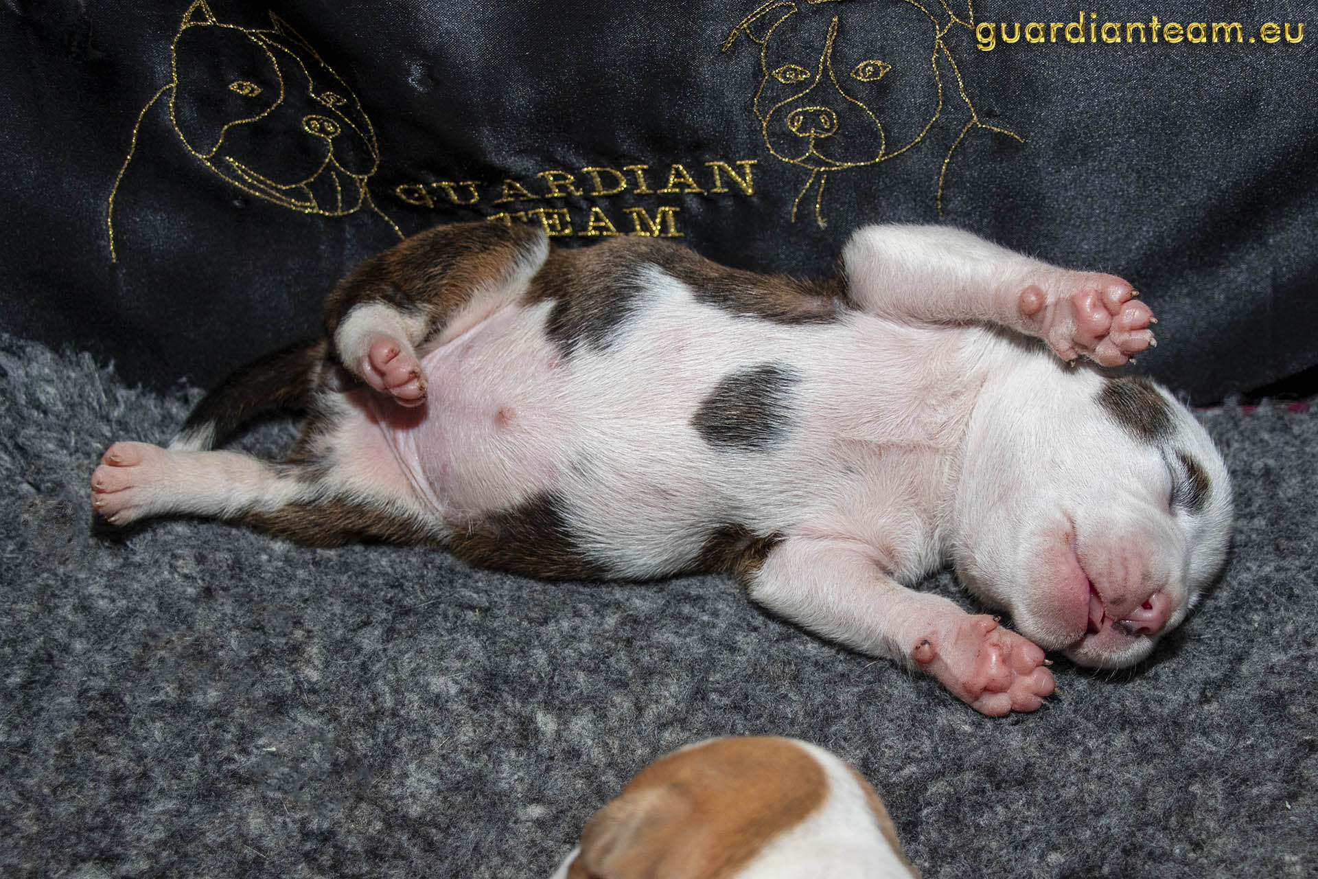 Galeria 2021.12.17 - 2021.12.24