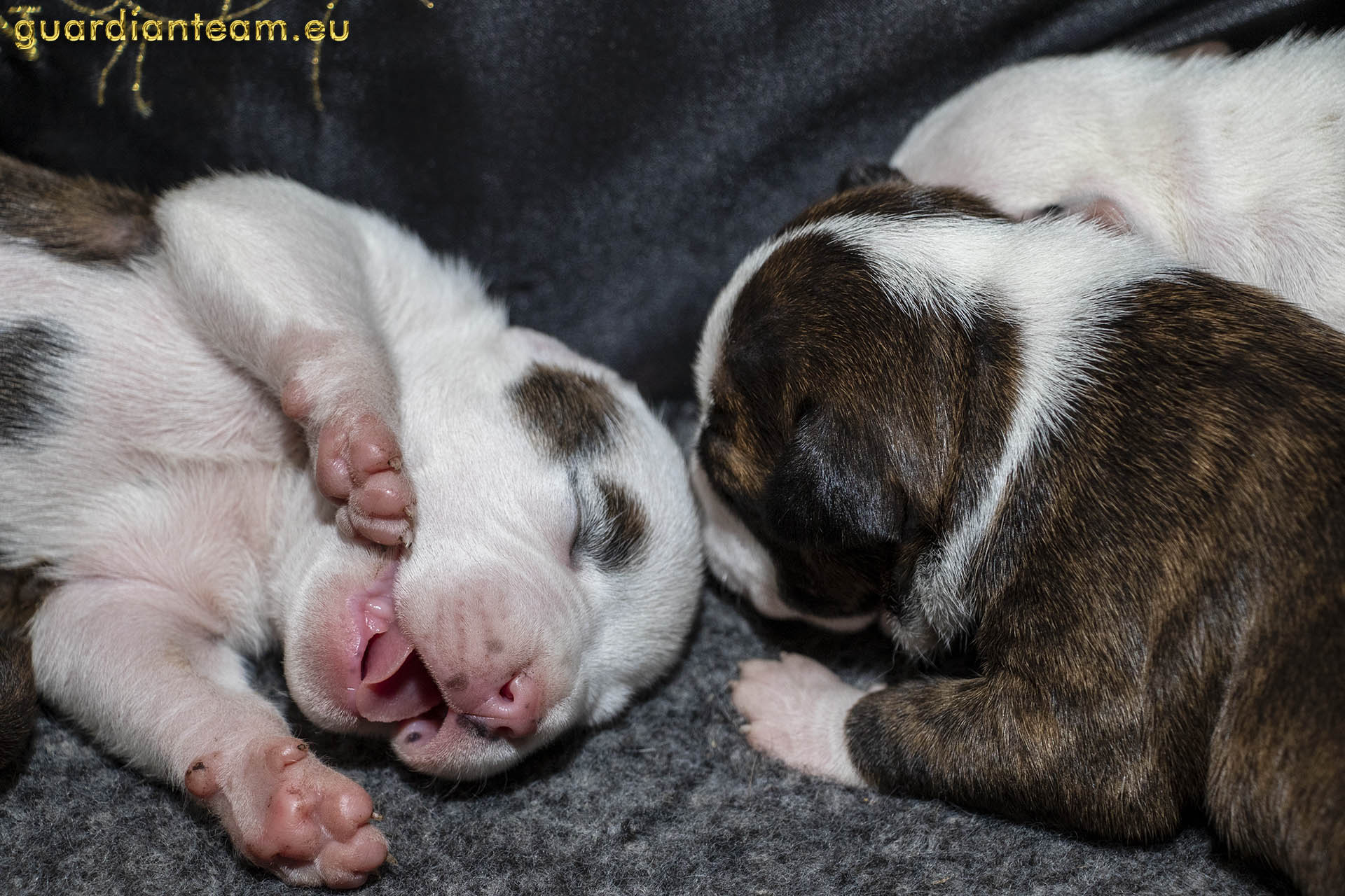 Galeria 2021.12.17 - 2021.12.24