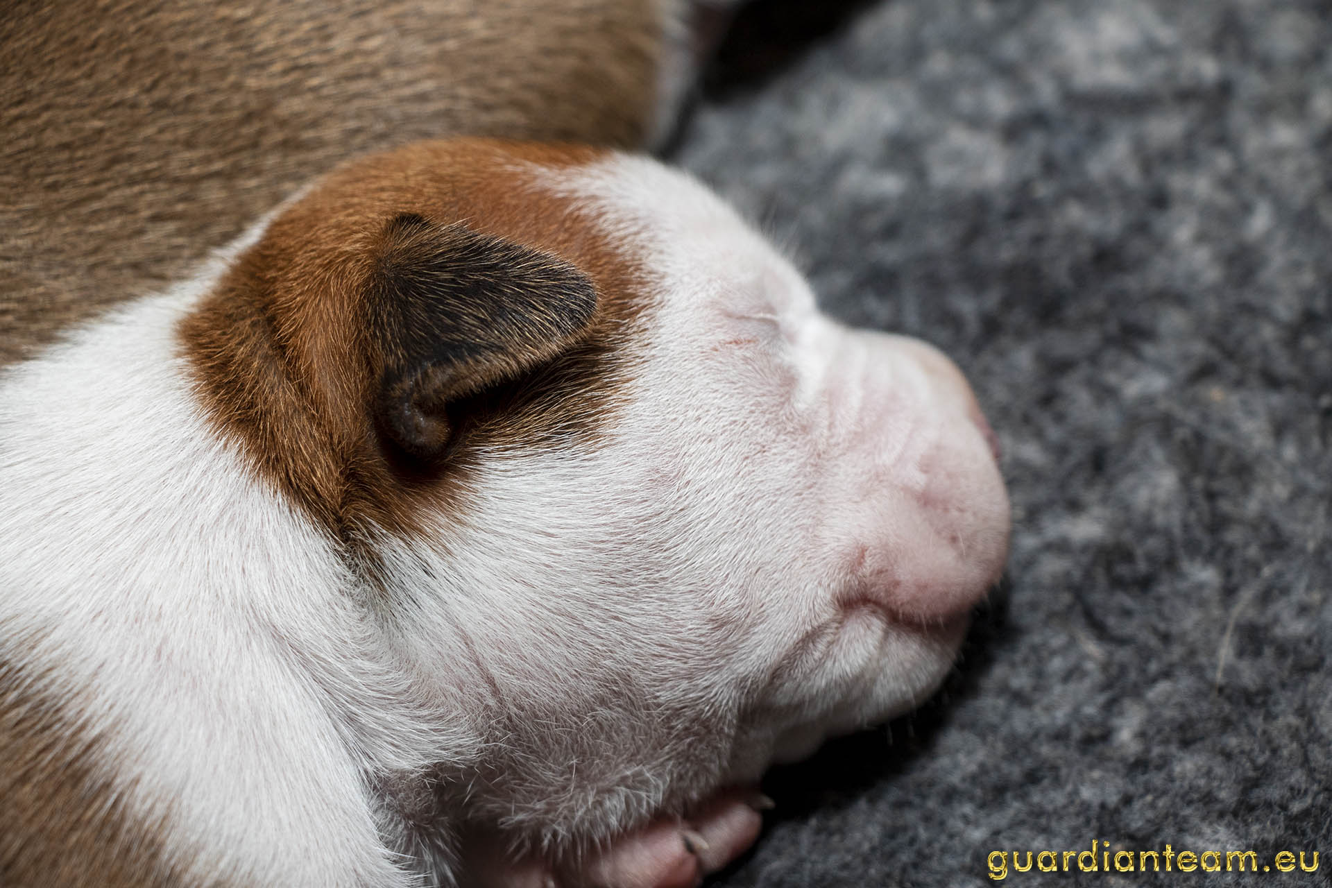 Galeria 2021.12.17 - 2021.12.24