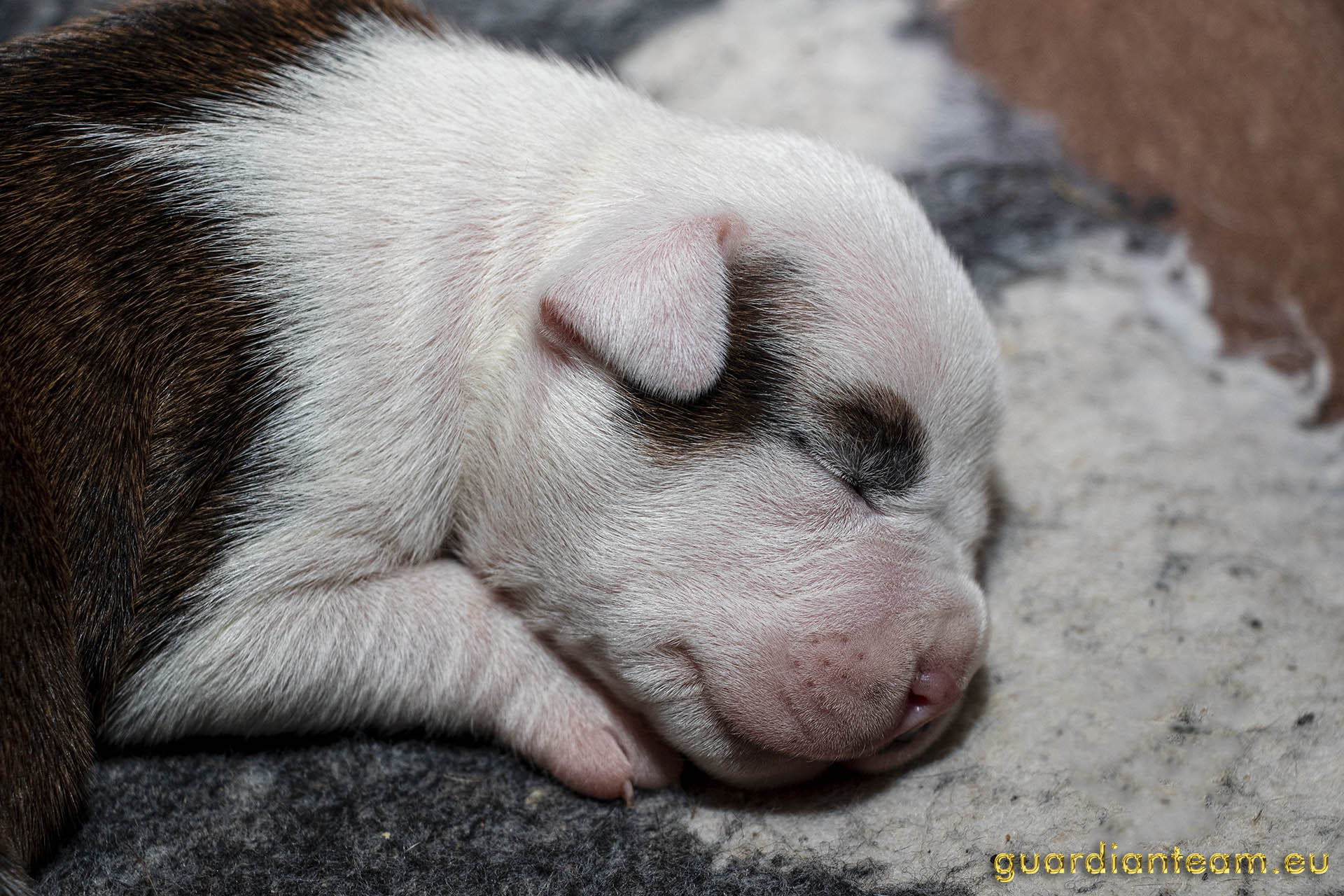 Galeria 2021.12.17 - 2021.12.24