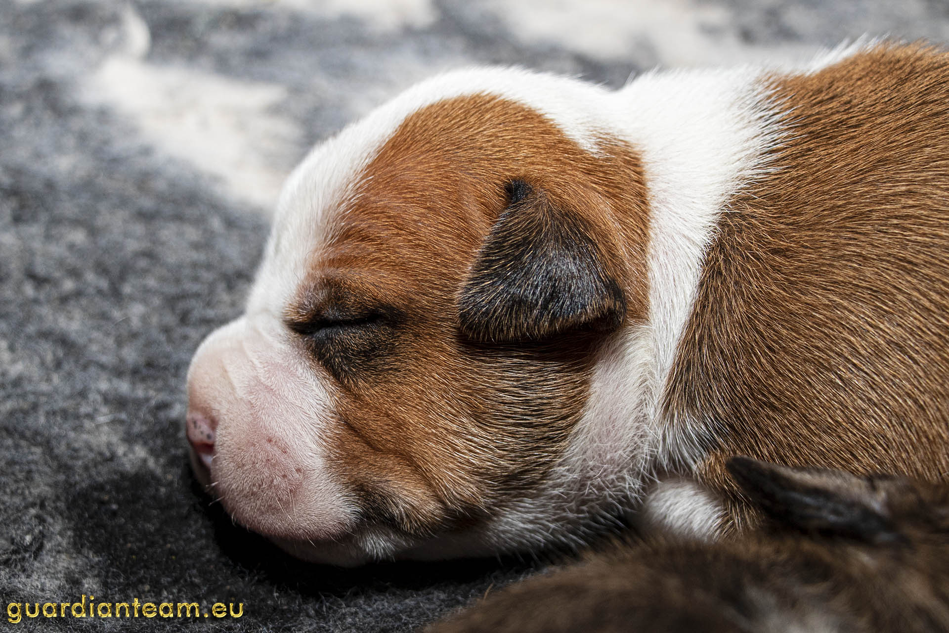 Galeria 2021.12.17 - 2021.12.24