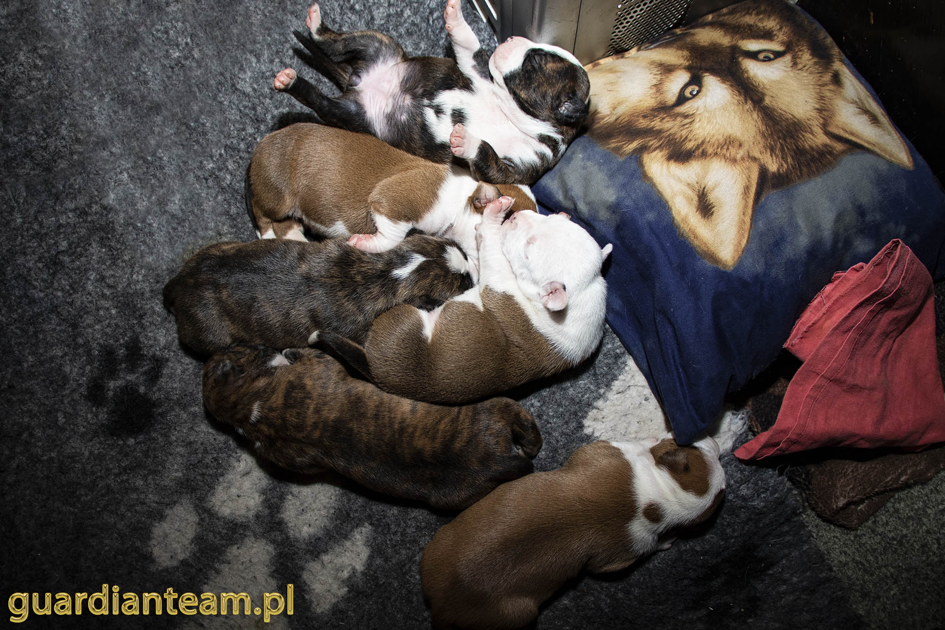 Galeria 2021.12.17 - 2021.12.24