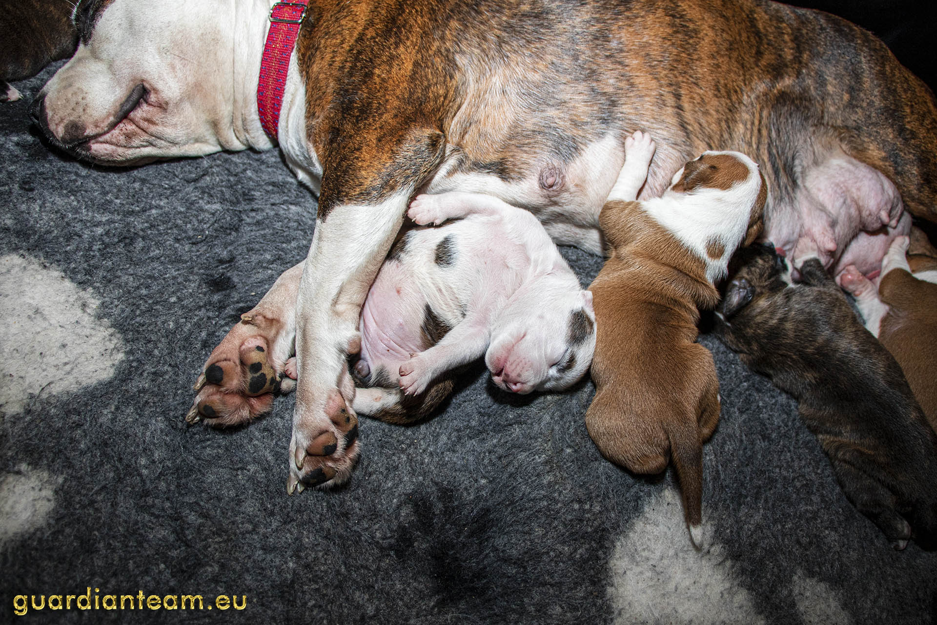 Galeria 2021.12.17 - 2021.12.24