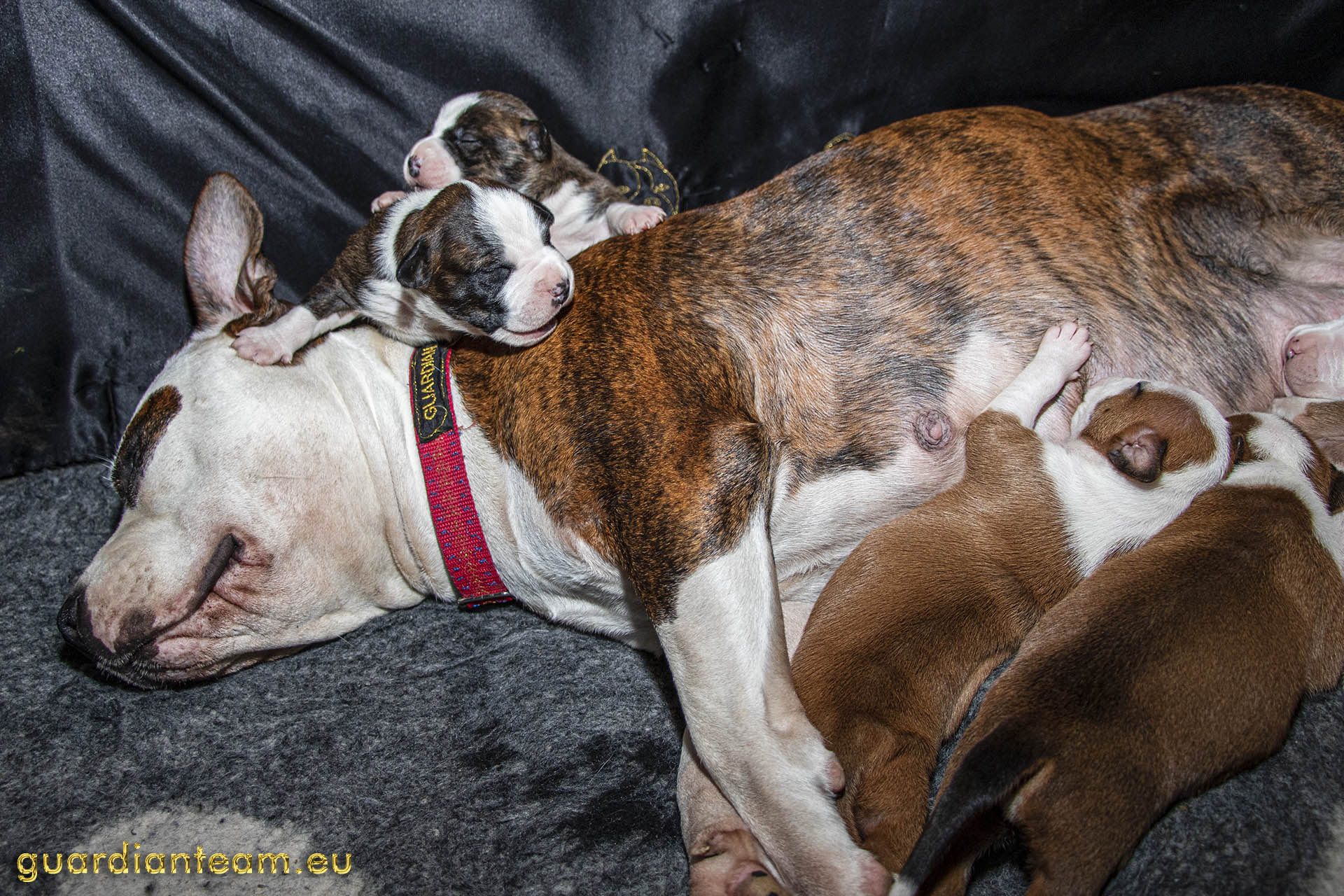 Galeria 2021.12.17 - 2021.12.24