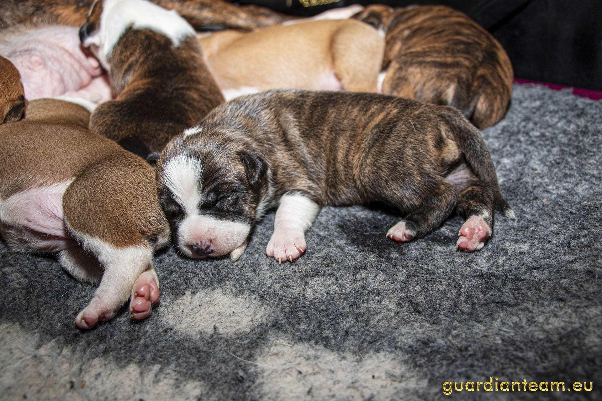 Galeria 2021.12.17 - 2021.12.24