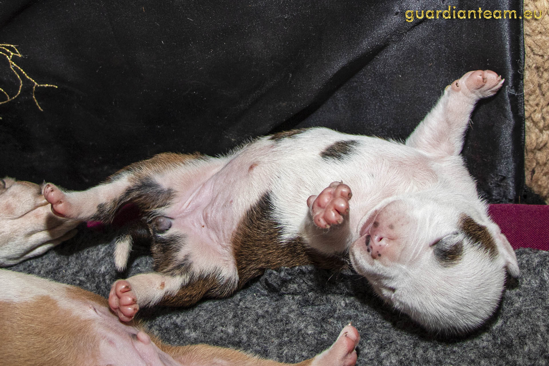 Galeria 2021.12.17 - 2021.12.24