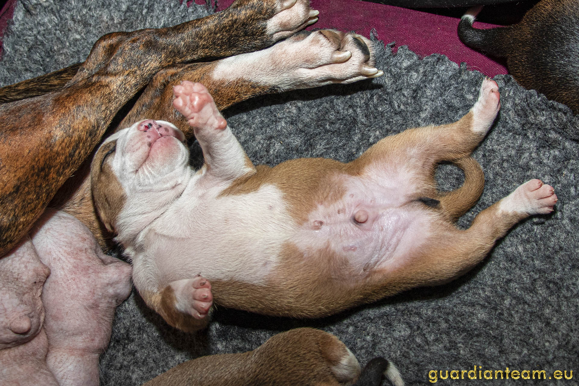 Galeria 2021.12.17 - 2021.12.24