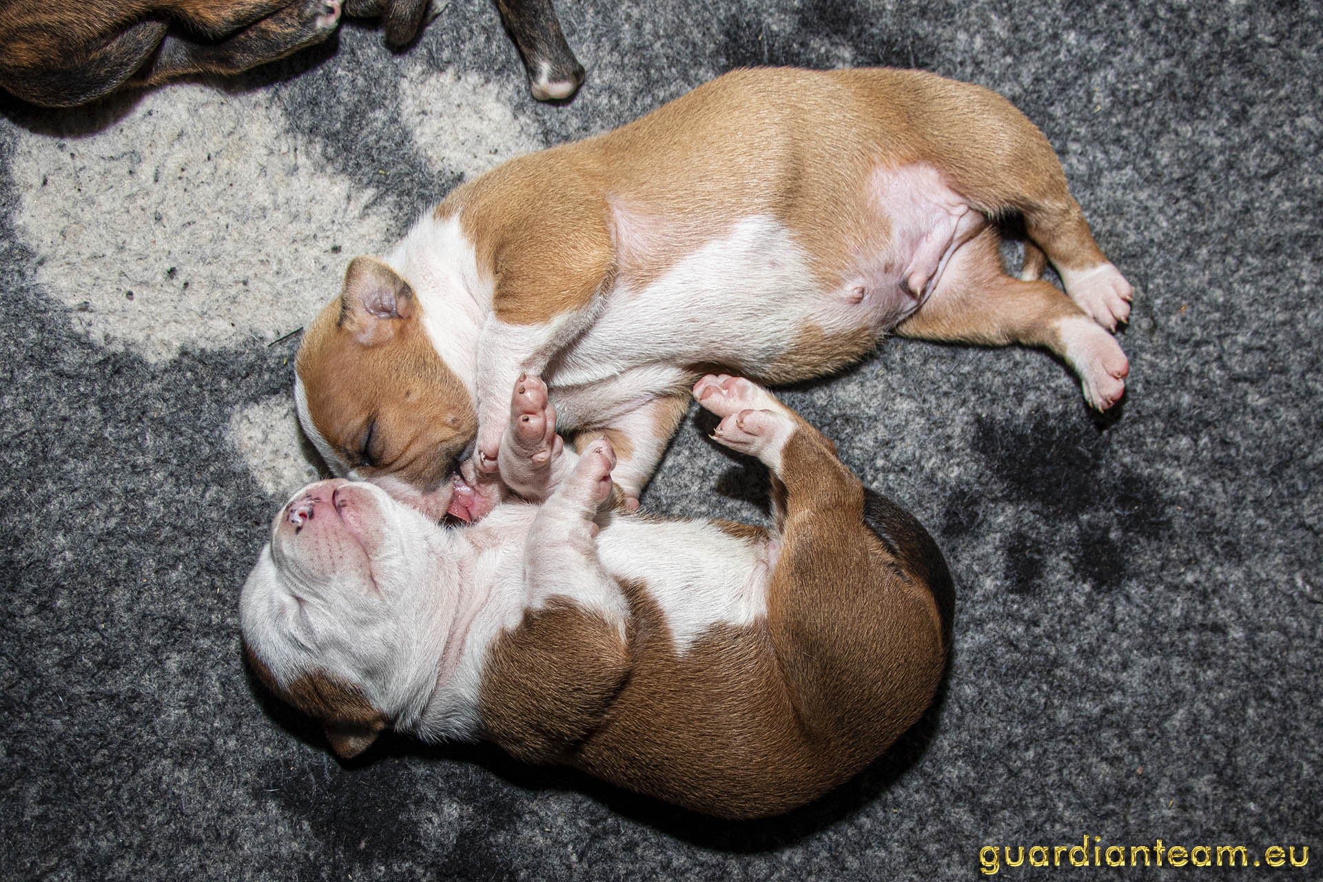 Galeria 2021.12.17 - 2021.12.24