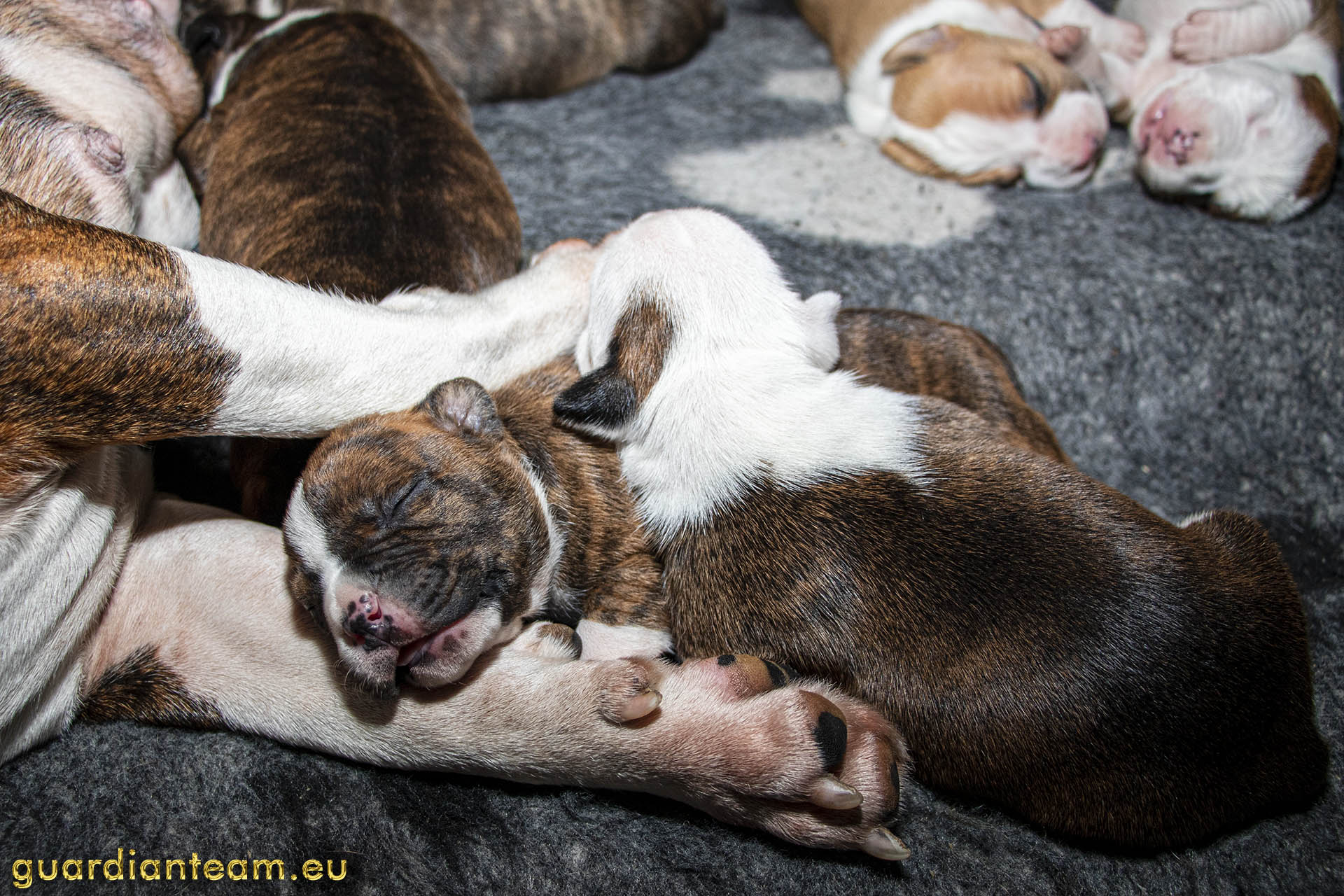 Galeria 2021.12.17 - 2021.12.24