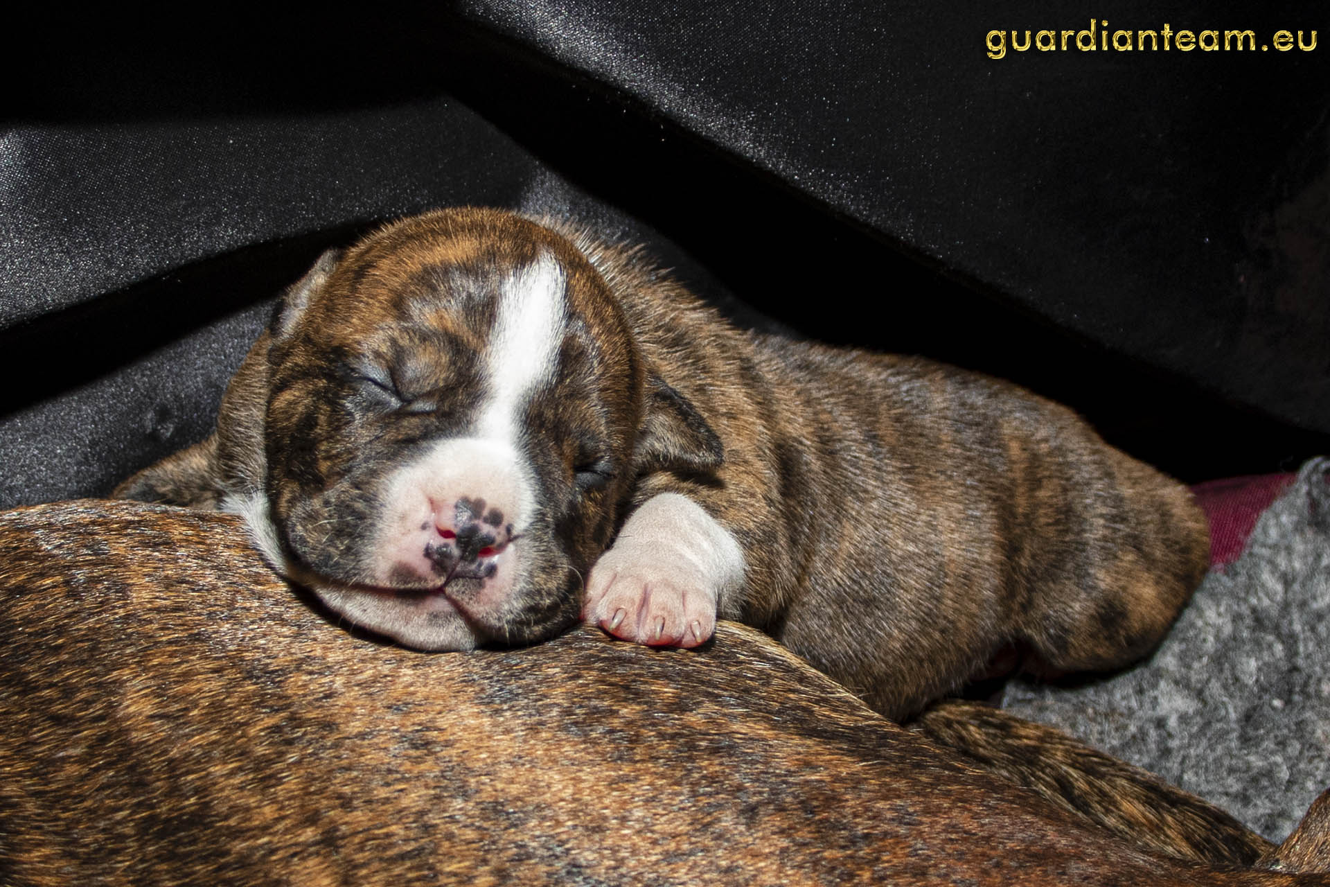 Galeria 2021.12.17 - 2021.12.24