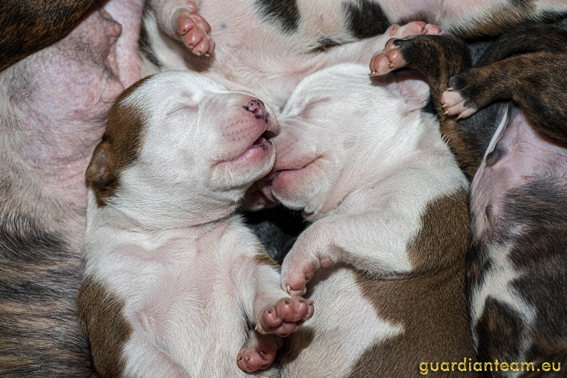 Galeria 2021.12.17 - 2021.12.24