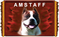 AMSTAFF'S PARTY WELCOME